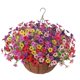 thumbnail image 5 of Cesta colgante de flores artificiales, adorno para colgar plantas, cadena, maceta, planta colgante falsa para jardín, patio, decoración del hogar A, 5 of 8