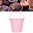 thumbnail image 3 of Macetero Para Suculentas, 10 Uds., Minimaceta Para Flores, Pequeña, 3 of 7