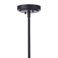 thumbnail image 3 of Craftmade Lighting - Briscoe - 1 Light Outdoor Pendant-10.24 Inches Tall and, 3 of 9