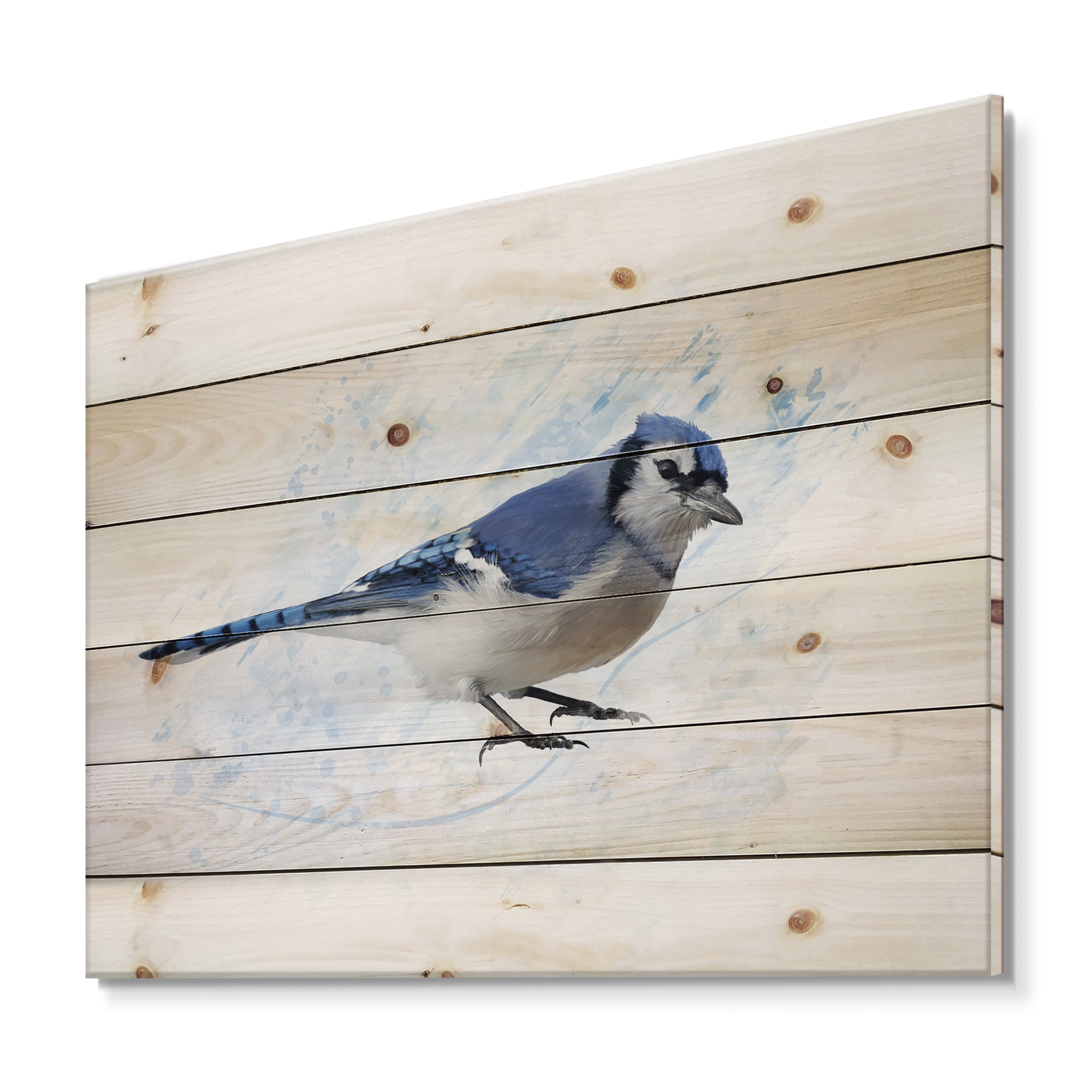 Designart 'Ancient Blue Jay Bird' Traditional Print on Natural Pine Wood