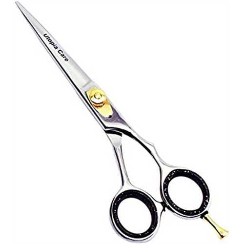 Professional Barber Hair Cutting Scissors / Shears (6 ? Inch,