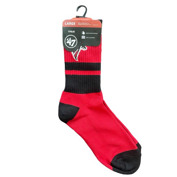 Atlanta Pro Football Socks Adult Team Logo and Colors Large Crew Sport Socks Footwear for Men and Women Game Day Apparel