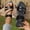 Black, variant on YOUYEDIAN Sandals Women Summer Slip on Beach Slippers Comfortable Casual Non Slip Orthopedic Flat Shoes (White)