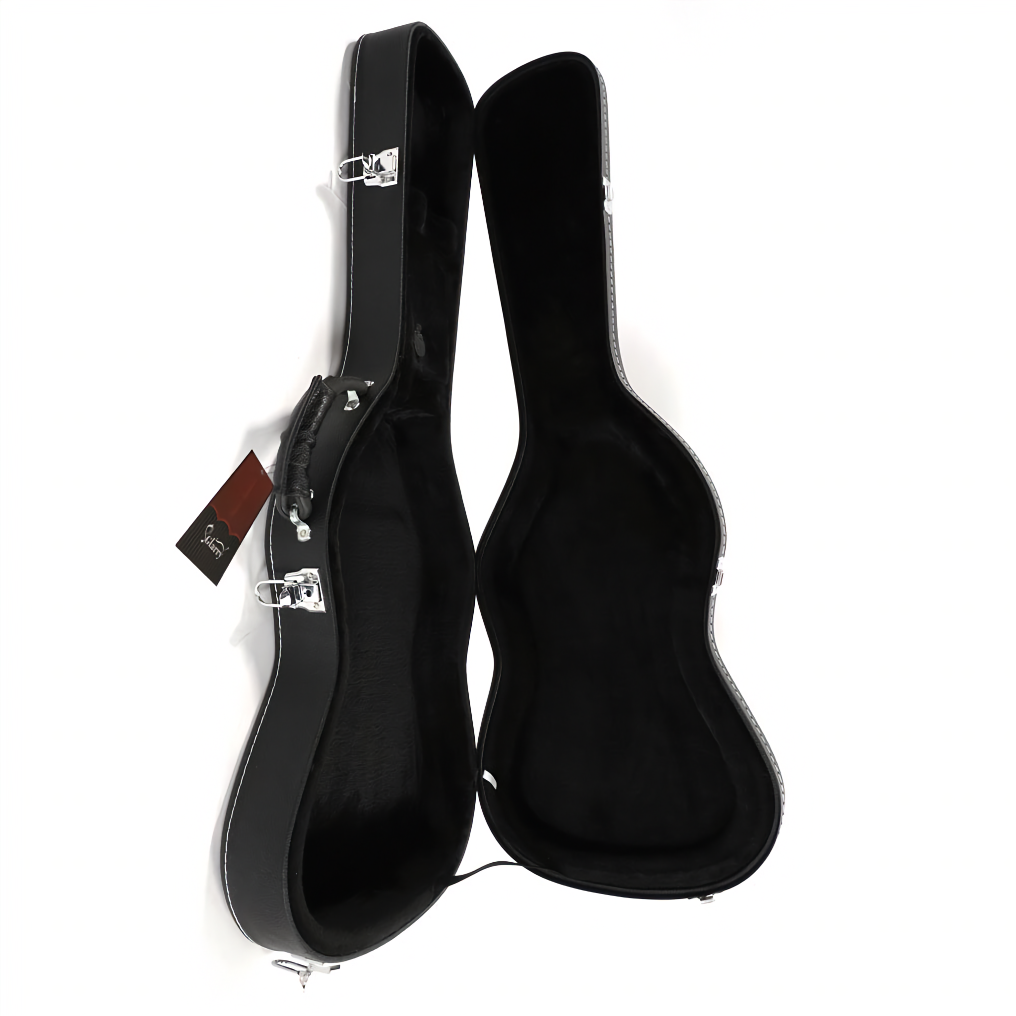 Aster Outdoor Electric Guitar Hard Case with Plush Lining photo 6