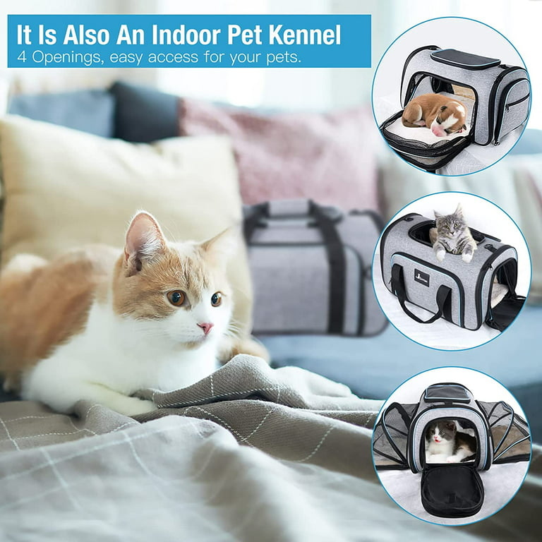 Airline Approved Pet Carrier, Soft Sided Pet Travel Carrier 4 Sides  Expandable Cat Carrier With Fleece Pad For Cats, Puppy And Small Dogs (Pad  Not Included)