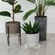 thumbnail image 5 of Soporte para plantas con ruedas, bandeja de agua, base con ruedas para maceta, accesorios para macetas, 5 of 7