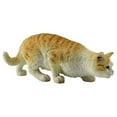 thumbnail image 1 of American Shorthair Tabby - Cream & Orange, 1 of 1