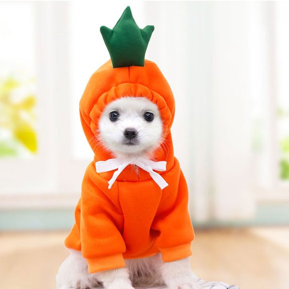 STGRGFHY Warm Dog Winter Clothes Cute Fruit Dog Coat Hoodies Fleece Pet Dogs Costume Jacket for French Bulldog,Pet Christmas dog costumes for small dogs,big dog costume（Red L）