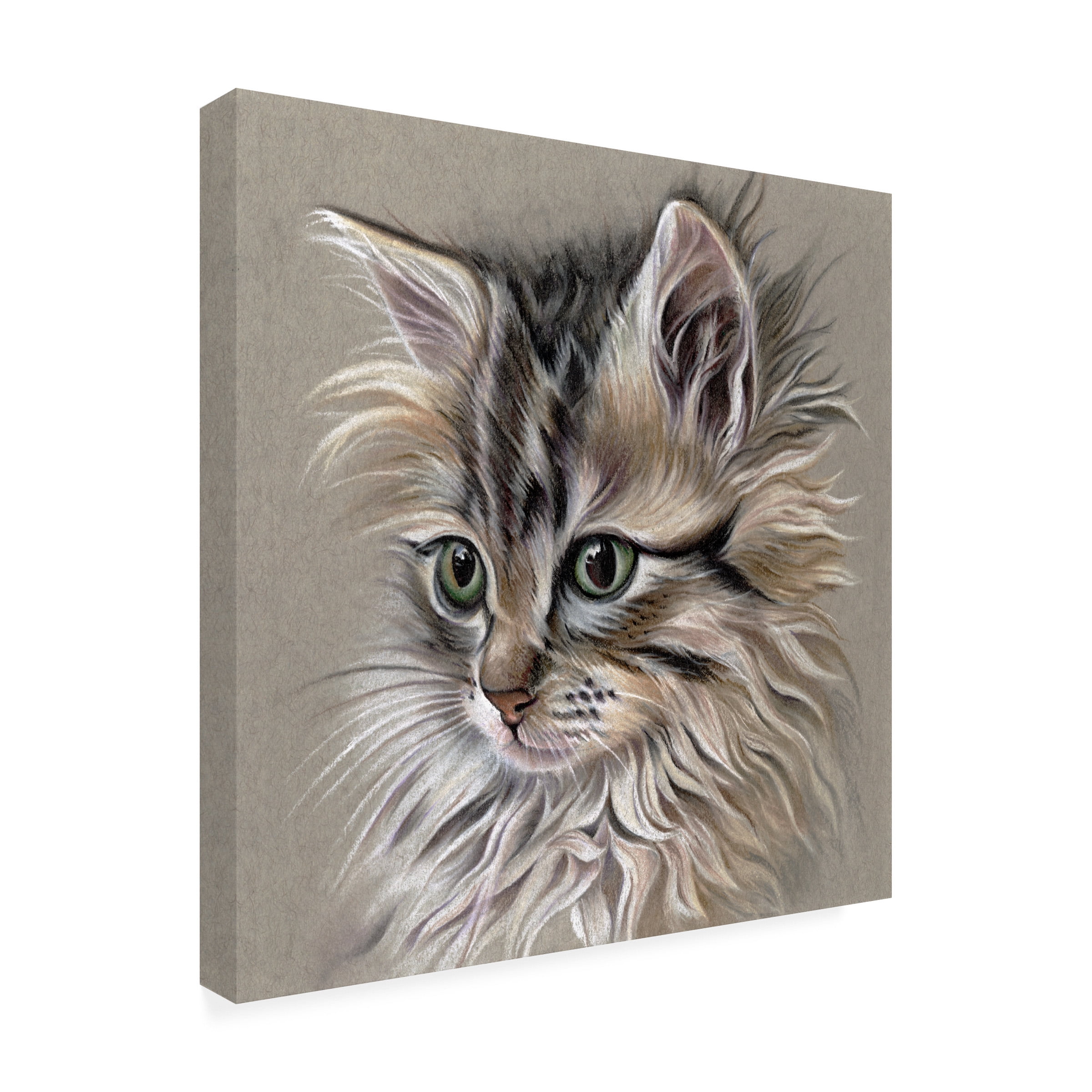 Lily Liama 'Kitten Portrait I' Canvas Art