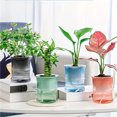 thumbnail image 2 of Self Watering Planter Pot, Transparent Double Layer Plastic Flower Pot for Office Desk and Indoor Plants, 2 of 7