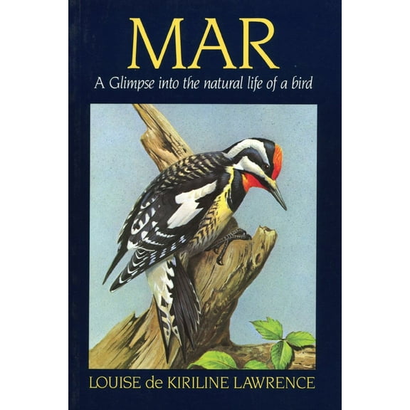 Mar: A Glimpse Into the Natural Life of a Bird, (Paperback)