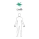 thumbnail image 3 of Camisa De Caballero Gop Tallas Extra, 3 of 5