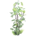 thumbnail image 3 of Plantas artificiales para acuario NikouMX Innovación moderna, 3 of 8