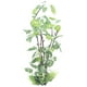 thumbnail image 3 of Planta Artificial, diseño realista Natural, adorno para pecera, hojas verdes para acuario, pecera, caja de reptiles, 3 of 5