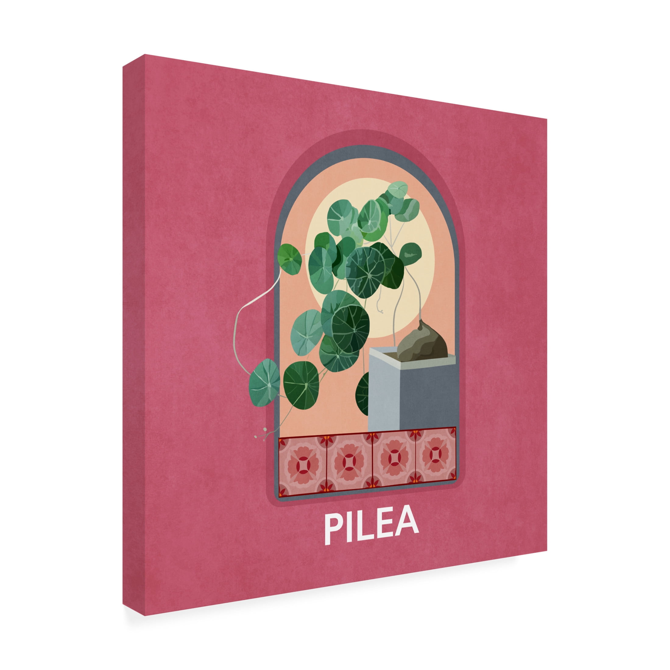 Trademark Fine Art Emel Tunaboylu Green Sets Pilea Canvas Wall Art