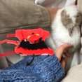 thumbnail image 3 of 1 Set Halloween Rabbit Traction Harness Leash Anti-escaping Ferret Walking Leash, 3 of 9