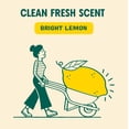 thumbnail image 2 of Aunt Fannie's Multi-Surface Vinegar Cleaning Kit, Lemon (Set of 3), 2 of 6