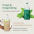 thumbnail image 2 of AIR-Renpure Tea Tree & Mint & Coconut Milk & Vitamin E Body Wash Set- Cleanses & Invigorates Skin Without Over-Drying - For All Skin Types - Tea Tree Leaf Oil, Coconut Oil - 24 Fl Oz each, 2 Pack, 2 of 4