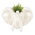 thumbnail image 4 of Planteur de Mur de Tête d'Éléphant, 4 of 4