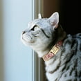 thumbnail image 6 of Didog Fabric Fancy Floral Dog Cat Collar Metal Gold Buckle D Ring Collar for Small Large Dogs, 6 of 8