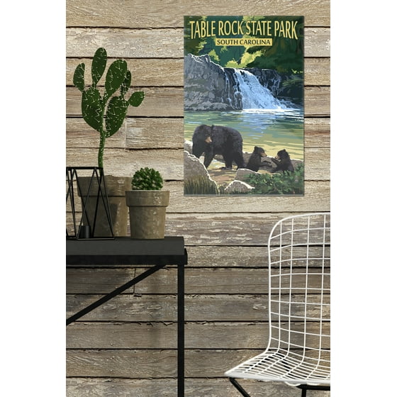 Table Rock State Park South Carolina Black Bears Waterfall Lantern Press Artwork 24x36 Acrylic Wall Art Gallery Quality