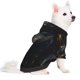 thumbnail image 2 of Balery Black And Gold White Horse Sudadera con Capucha para Perros Pequeños – Ropa para Mascotas, Disfraz para Perros y Gatos, Ideal para Fiestas y Cosplay-Large, 2 of 7