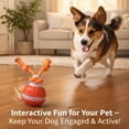 2026 New Interactive Smart Rolling Pet Ball – Motion-Activated Squeaky ...