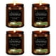 thumbnail image 1 of Set de velas de citronela FF FRAGRFLOWING, cera de soja perfumada, 800 ml, 1 of 6