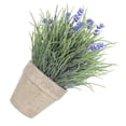 View all media