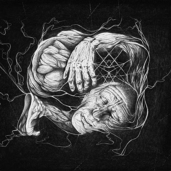 VERBERIS - VORANT GNOSIS