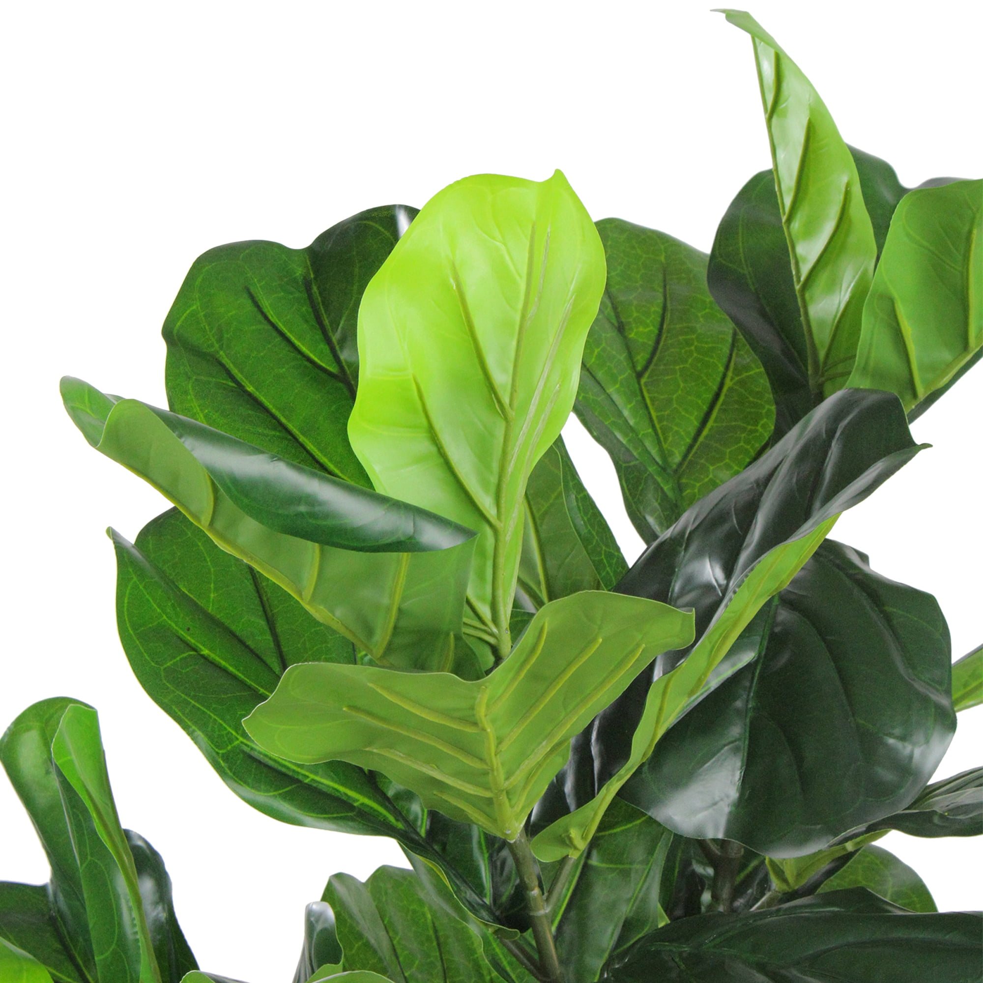 Northlight 49" Two Tone Green Wide Fiddle Leaf Artificial Potted Floor Plant