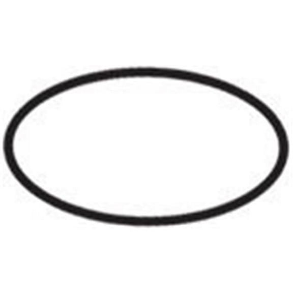 Waterway Plastics 805-0145 2 in. Heater Tailpiece Union O-Ring