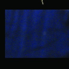 The Ribbon People Navy Blue Crinkled Wired Craft Ribbon 2" x 20 Yards