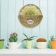 thumbnail image 1 of unbranded Canasta Colgante Decorativa Tejida Para Plantas En O Jardín, 1 of 6