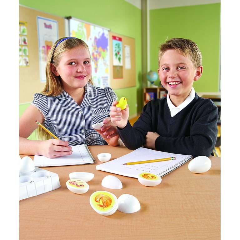 Learning Resources Chick Life Cycle Exploration Set photo 3