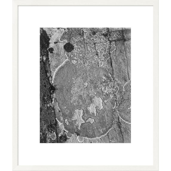 Global Gallery Ansel Adams 'Lichons, Glacier National Park, Montana - National Parks and Monuments, 1941' Framed Wall Art