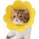 thumbnail image 1 of Collares para mascotas Collar antilamer para gatos Ajustable 22-28cm Collar de protección ligero Collares isabelinos para gatos (Gelb, M), 1 of 5