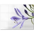 thumbnail image 1 of Flowers Ceramic Tile Mural Kitchen Backsplash Bathroom Shower 402392-M43, 1 of 3