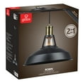 thumbnail image 3 of Robin 1-Light Satin Black Plug-In or Hardwire Pendant, 3 of 3
