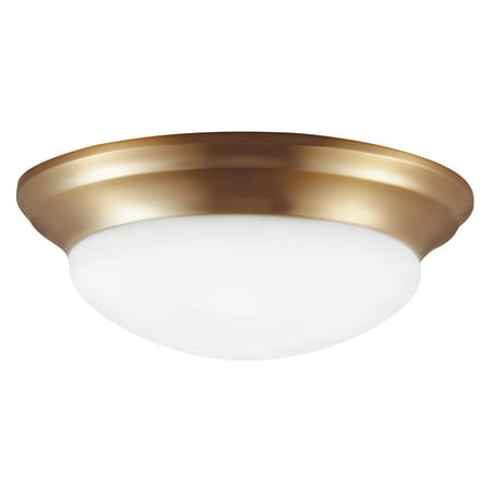 Sea Gull Lighting Nash 75435 Flush Mount Light