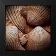 thumbnail image 2 of Perry, Rachel 20x20 Black Modern Framed Museum Art Print Titled - Macro Shells VI, 2 of 5
