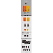 Stray Kids - [In生 (In Life)] 1st Album Repackage NORMAL B Version