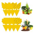 thumbnail image 1 of 48 piezas-pegatinas amarillas de plantas-24*mariposa gruesa+24*girasol grueso, 1 of 5