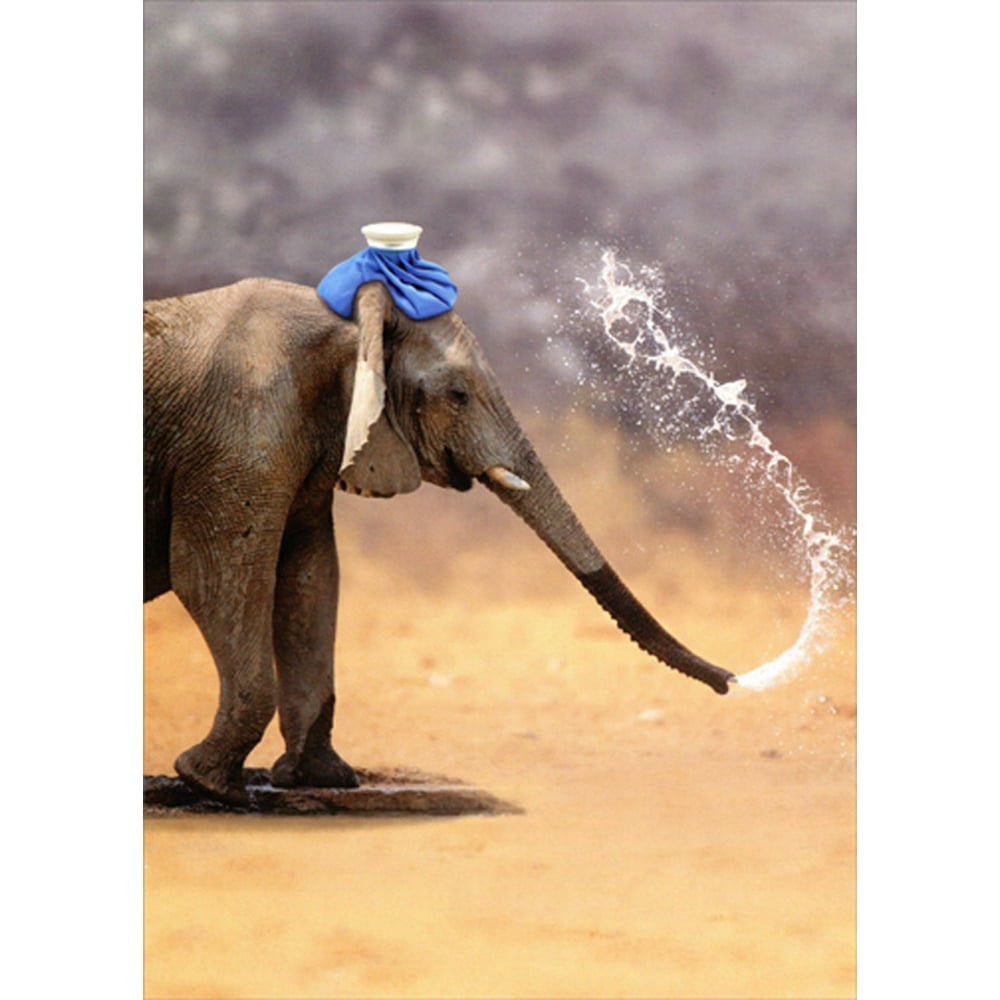 Designer Greetings Sneezing Elephant with Ice Bag on Head Funny / Humorous Get Well Card