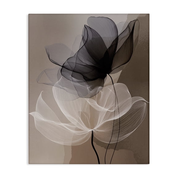 Stupell Industries Modern Gauzy Flowers on Brown Canvas Art, 16 x 20, by Annabelle Hall