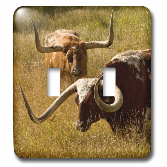 3dRose Texas Longhorn, Custer, South Dakota, Usa - Double Toggle Switch (lsp_279432_2)