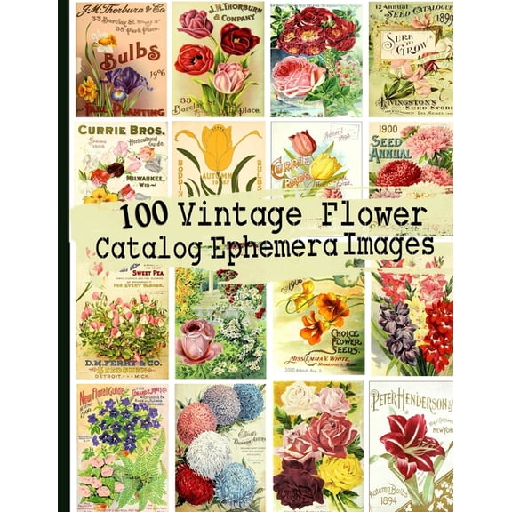 100 Vintage Flower Catalog Ephemera Images, (Paperback)
