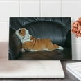 thumbnail image 2 of English Bulldog Cutting Board, Puppy Resting on a Sofa Funny Animal Photography Canine, Decorative Tempered Glass Cutting and Serving Board, Small Size, Seal Brown White Brown, by Ambesonne, 2 of 5