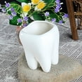 thumbnail image 3 of Maceta de cerámica decorativa con forma de diente, maceta para plantas de interior y exterior, maceta para cactus, 3 of 8