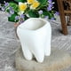 thumbnail image 3 of Maceta de cerámica decorativa con forma de diente, maceta para plantas de interior y exterior, maceta para cactus, 3 of 8